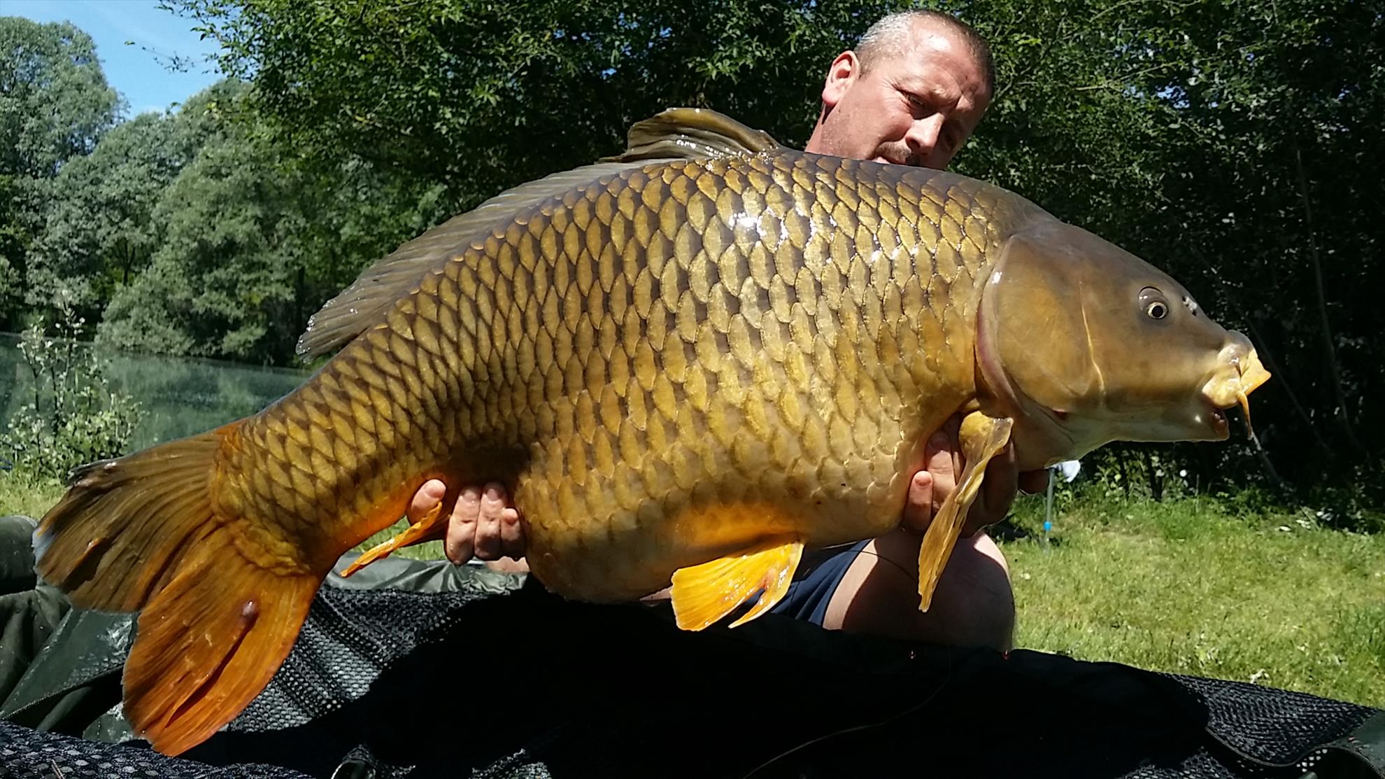 Lago Boschetto 20 - 21 mai 2017 - 20170521124638.jpg